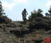 dsc01800_small.jpg