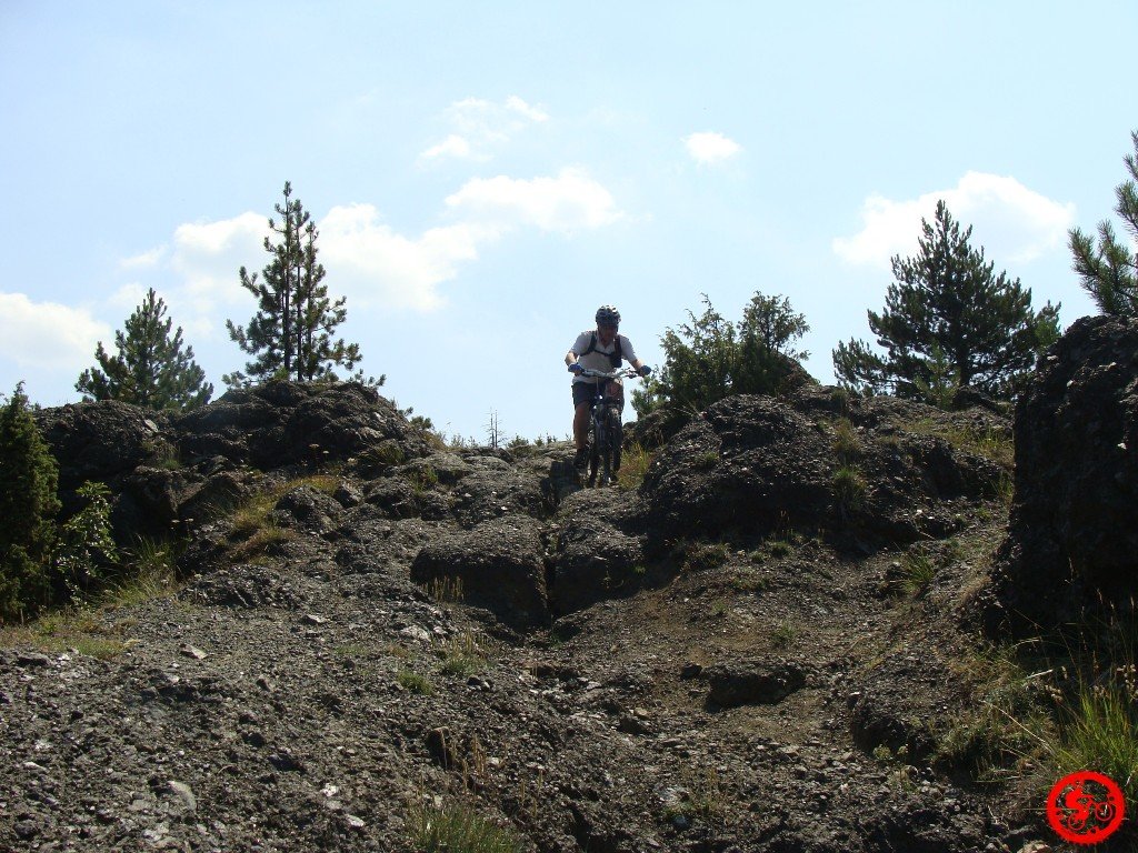 dsc01801.jpg