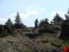 dsc01801_small.jpg