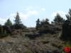 dsc01802_small.jpg