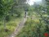 dsc01837_small.jpg