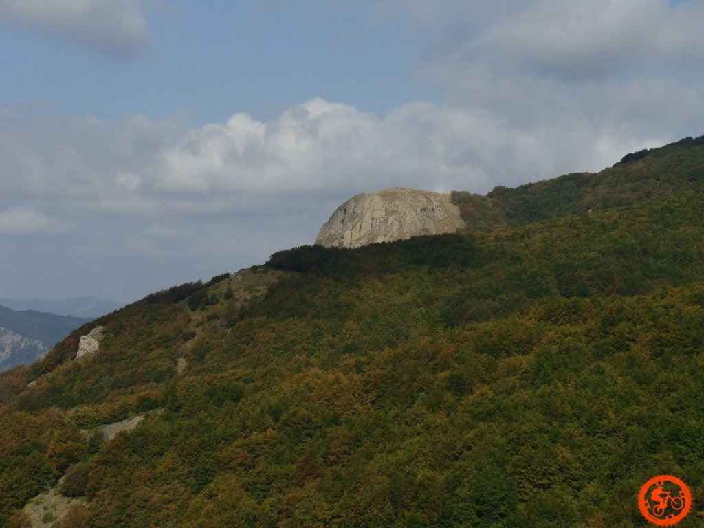dsc01986.jpg