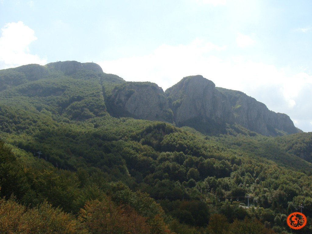 dsc02041.jpg
