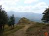 dsc02049_small.jpg