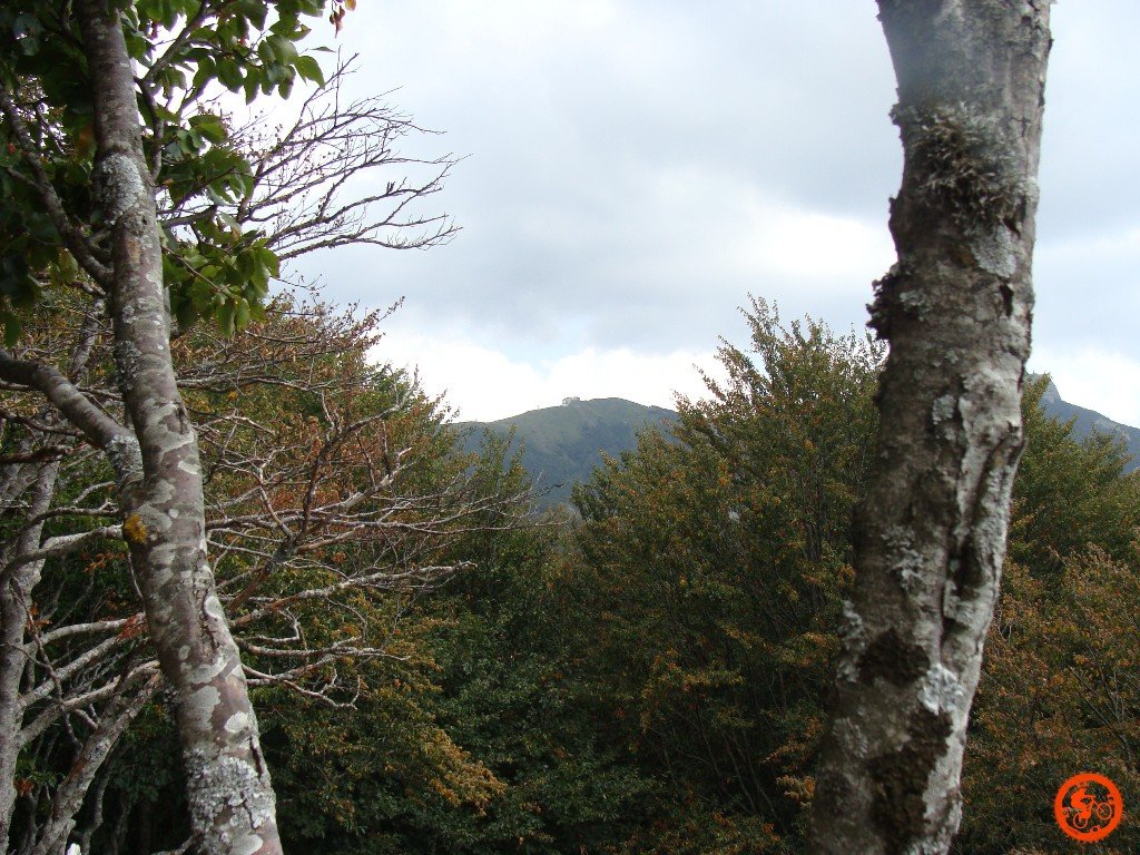 dsc02050.jpg