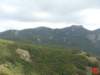 dsc02054_small.jpg