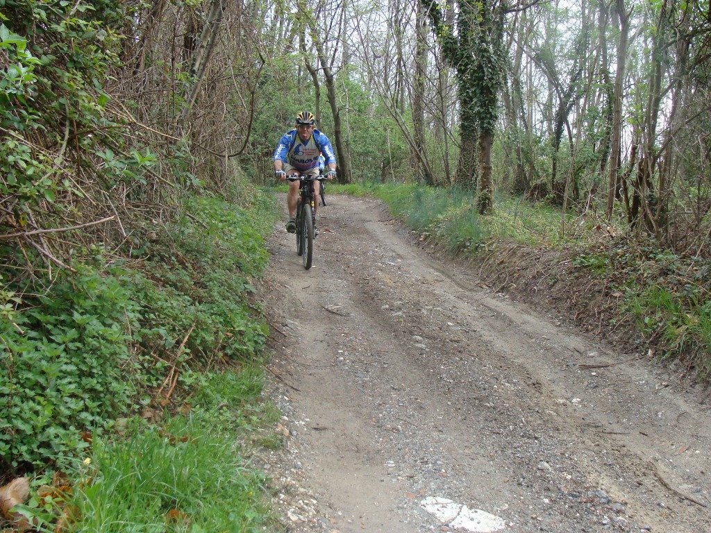 photo13.jpg