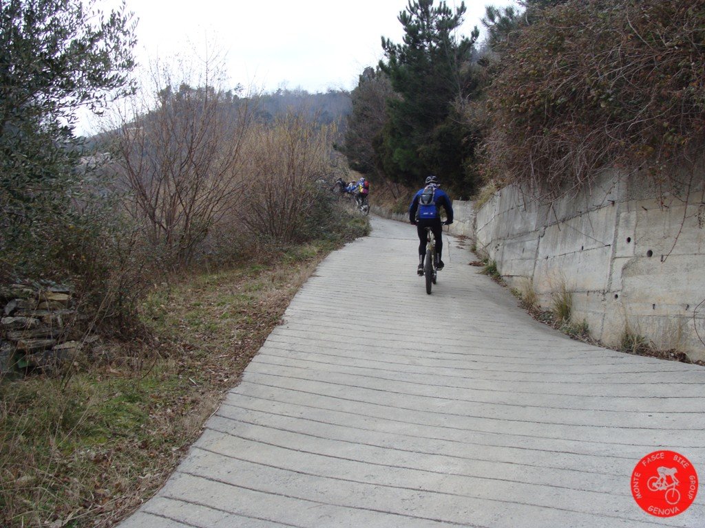 dsc02784.jpg