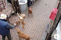 dsc02689
