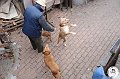 dsc02690