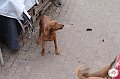 dsc02691