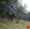 dsc02817