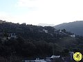 DSC02901