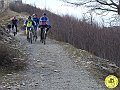DSC02931