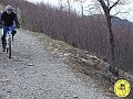 DSC02942