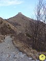 DSC02956