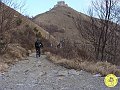 DSC02973