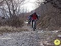 DSC02990