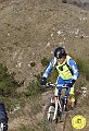 DSC03010