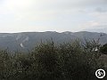 DSC03018
