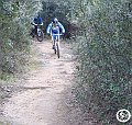 DSC03034