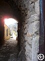 DSC03040
