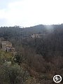 DSC03052
