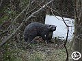 DSC03060