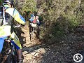DSC03062