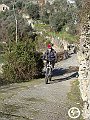 DSC03096