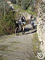 DSC03097