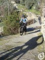 DSC03098