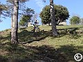 DSC03118