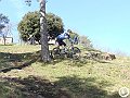 DSC03125
