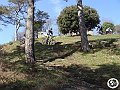 DSC03126
