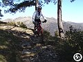 DSC03146