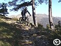 DSC03153