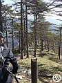 DSC03156