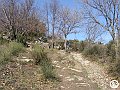 DSC03160