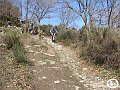 DSC03161