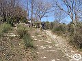 DSC03166