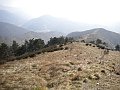 DSCN0075