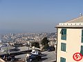 DSC03183