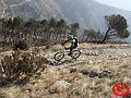 DSC03194