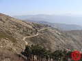 DSC03197