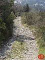 DSC03220