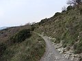 DSC03310