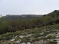 DSC03313