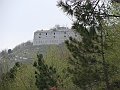 DSC03314