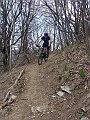 DSC03347